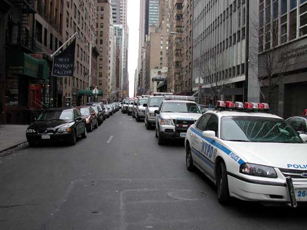 A whole block of police vehicles.